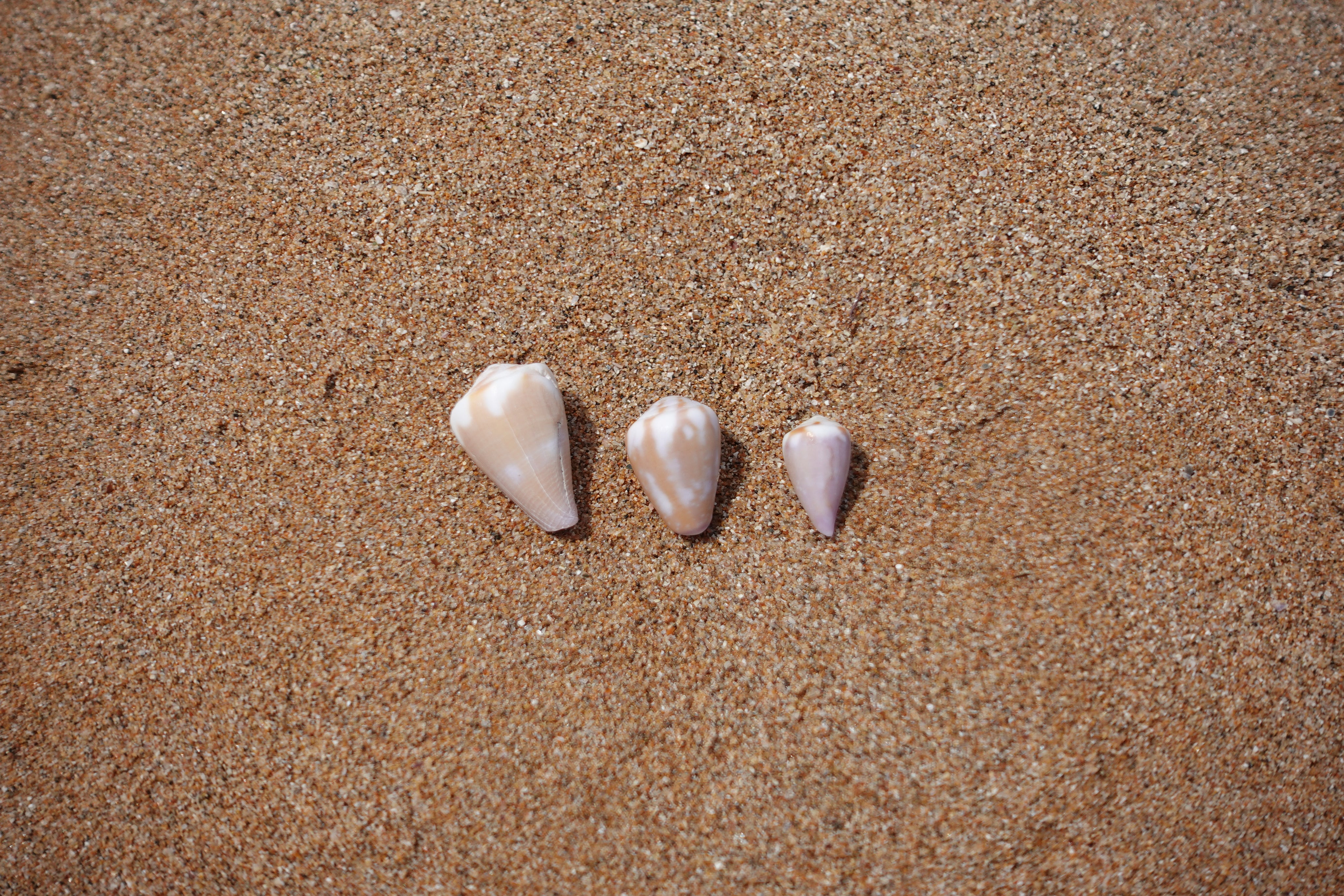 Isla Cone Necklace