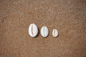 Keshi Cowrie Necklace