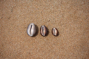 Keshi Cowrie Necklace