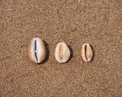 Keshi Cowrie Necklace